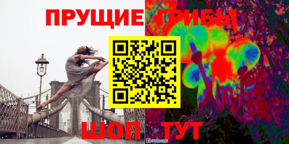 Псилоцибиновые грибы мицелий Лесосибирск