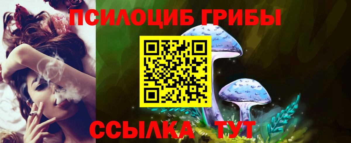 Галлюциногенные грибы Cubensis  Галлюциногенные грибы Cubensis  Лесосибирск  Вход с VPN 
