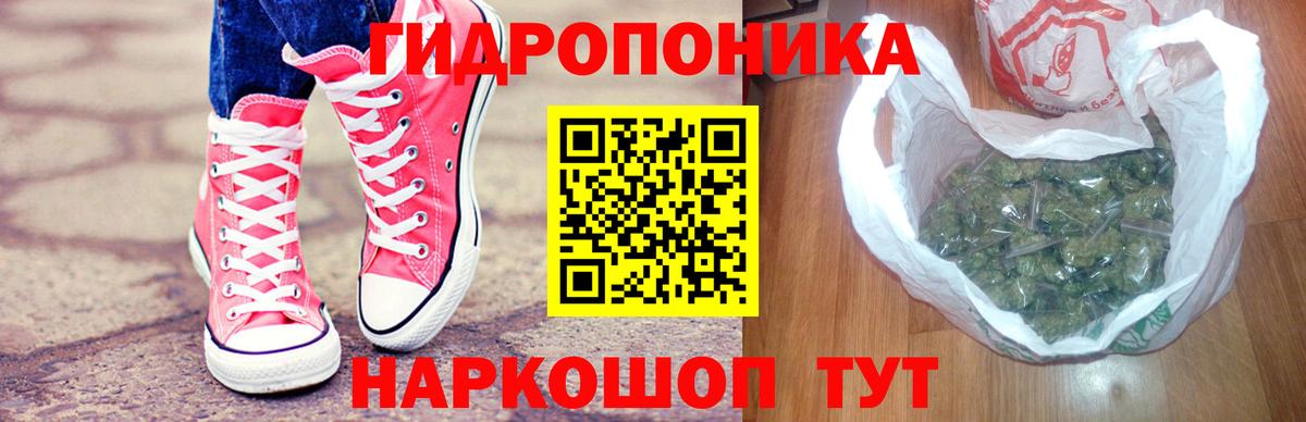 Бошки Шишки марихуана Лесосибирск